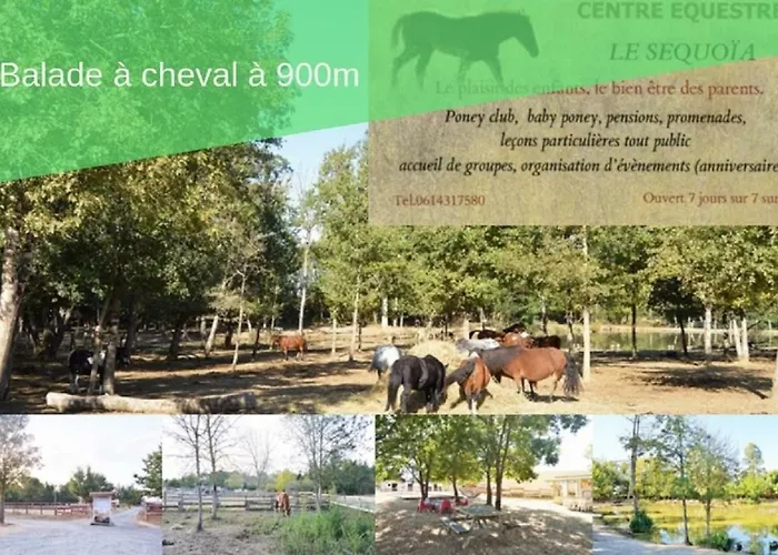 Дом отдыха Le Bien-etre Jacuzzi Piscine Chauffee Privee Du Tarn Entre Toulouse Et Albi & Les Du Tarn Peyrole