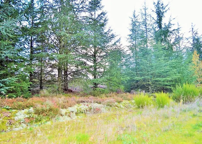 Nyaraló Le Bien-etre Jacuzzi Piscine Chauffee Privee Du Tarn Entre Toulouse Et Albi & Les Du Tarn *